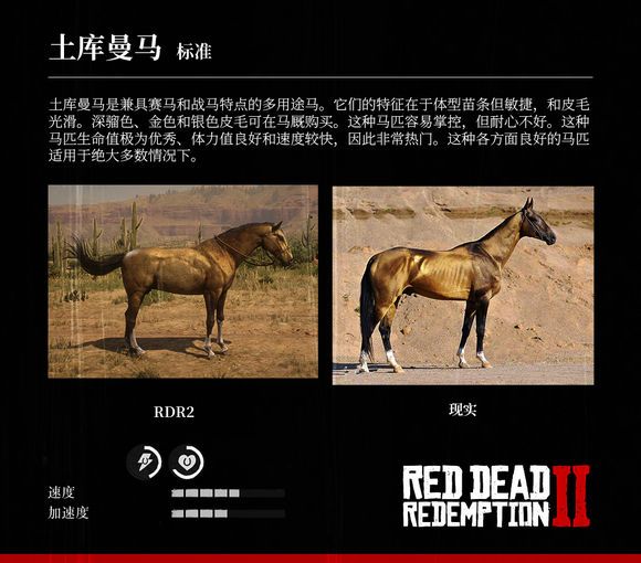 荒野大镖客2 Reddeadredemption2 马匹大全及原型对照 第4页