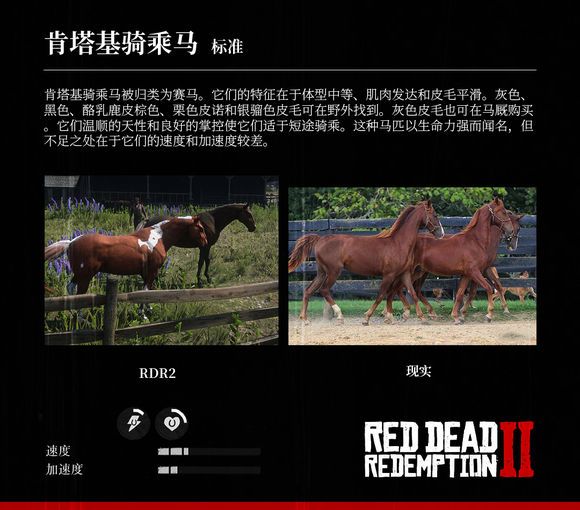 荒野大镖客2 Reddeadredemption2 马匹大全及原型对照 第3页