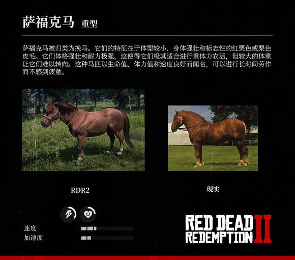 荒野大镖客2 Reddeadredemption2 马匹大全及原型对照 老友网