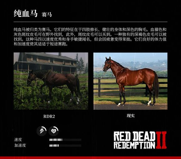 荒野大镖客2 Reddeadredemption2 马匹大全及原型对照 第4页