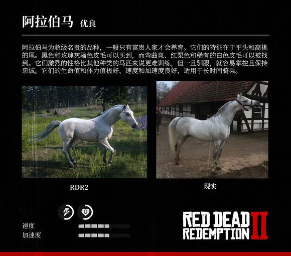 荒野大镖客2 Reddeadredemption2 马匹大全及原型对照 老友网