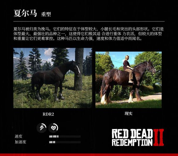 荒野大镖客2 Reddeadredemption2 马匹大全及原型对照 老友网