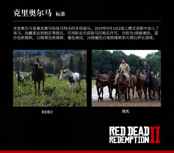 荒野大镖客2 Reddeadredemption2 马匹大全及原型对照 第5页