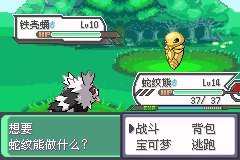 口袋妖怪究极绿宝石神战版【vgc2019纪念版】图文攻略