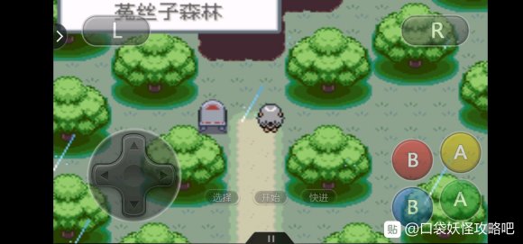 口袋妖怪无名《PokemonNameless》二周目图文攻略