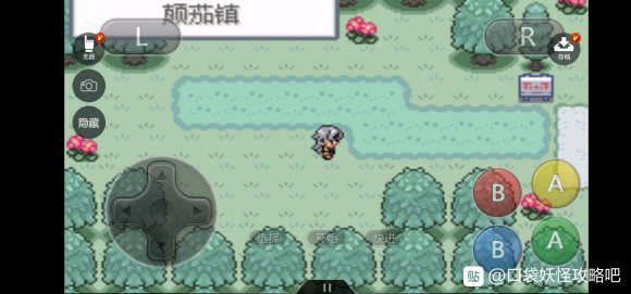 口袋妖怪无名《PokemonNameless》二周目图文攻略