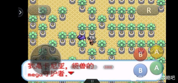 口袋妖怪无名《PokemonNameless》二周目图文攻略