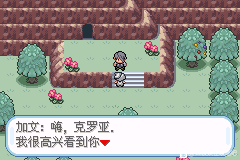 口袋妖怪无名《PokemonNameless》图文攻略