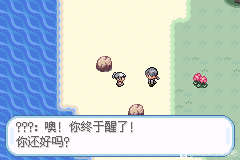 口袋妖怪无名《PokemonNameless》图文攻略