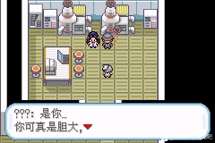 口袋妖怪无名《PokemonNameless》图文攻略