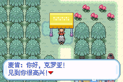 口袋妖怪无名《PokemonNameless》图文攻略