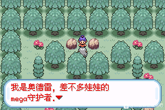 口袋妖怪无名《PokemonNameless》图文攻略