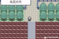 口袋妖怪无名《PokemonNameless》图文攻略