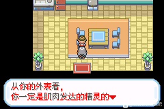 口袋妖怪无名《PokemonNameless》图文攻略