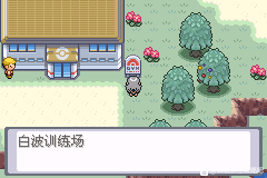 口袋妖怪无名《PokemonNameless》图文攻略