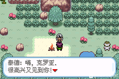 口袋妖怪无名《PokemonNameless》图文攻略