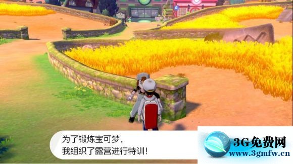 宝可梦剑盾《PokemonSwordShield》（剑）图文攻略