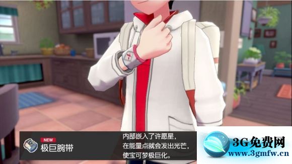 宝可梦剑盾《PokemonSwordShield》（剑）图文攻略