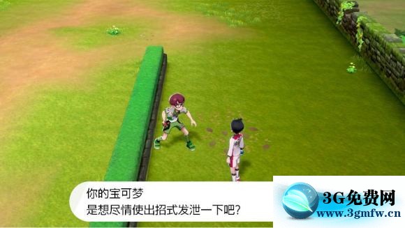 宝可梦剑盾《PokemonSwordShield》（剑）图文攻略