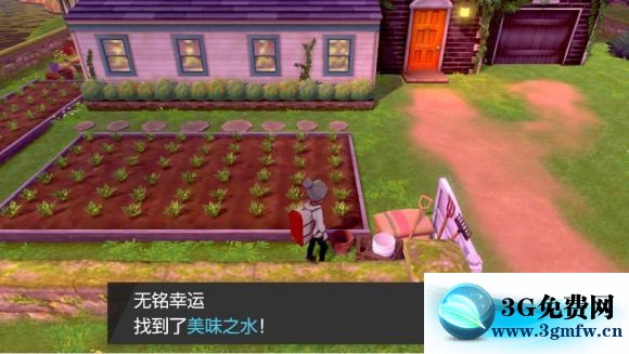 宝可梦剑盾《PokemonSwordShield》（剑）图文攻略