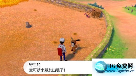 宝可梦剑盾《PokemonSwordShield》（剑）图文攻略