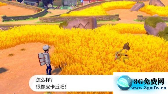 宝可梦剑盾《PokemonSwordShield》（剑）图文攻略