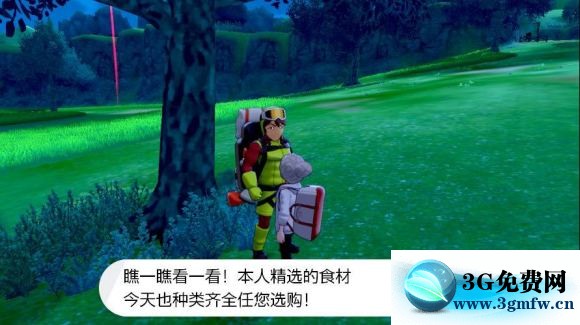 宝可梦剑盾《PokemonSwordShield》（剑）图文攻略