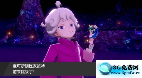 宝可梦剑盾《PokemonSwordShield》（剑）图文攻略