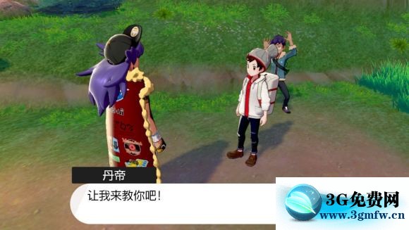 宝可梦剑盾《PokemonSwordShield》（剑）图文攻略