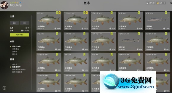 俄罗斯钓鱼4《RussianFishing4》三花鲤鱼攻略