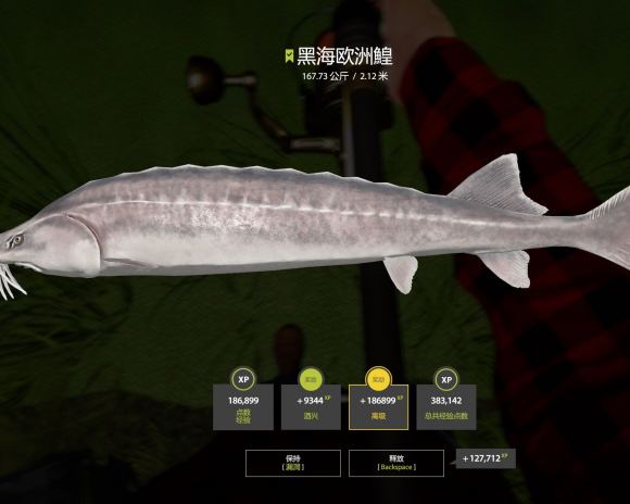 俄罗斯钓鱼4《RussianFishing4》技术攻略