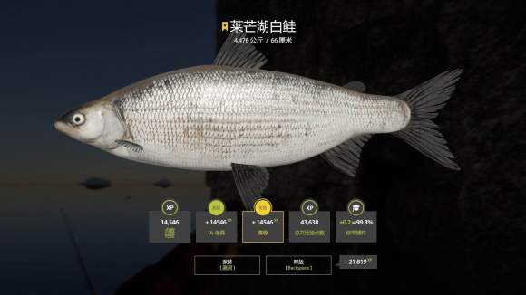 俄罗斯钓鱼4《RussianFishing4》拉多加自沉面条虫攻略