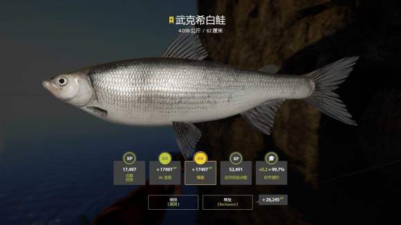 俄罗斯钓鱼4《RussianFishing4》拉多加自沉面条虫攻略