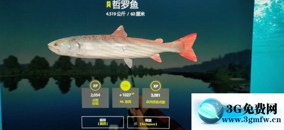 俄罗斯钓鱼4《RussianFishing4》白河路亚攻略