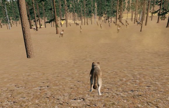 野狼谜踪3《WolfQuest3》图文攻略