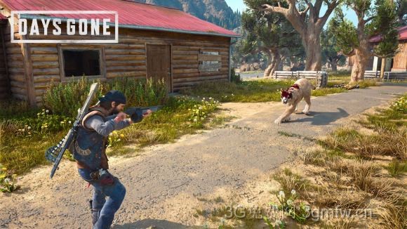 往日不再《DaysGone》生存2难度攻略