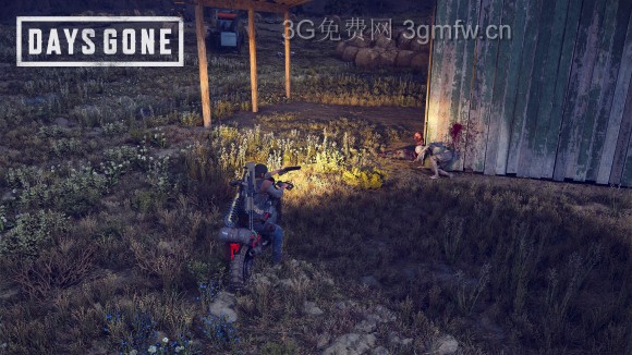 往日不再《DaysGone》生存2难度攻略