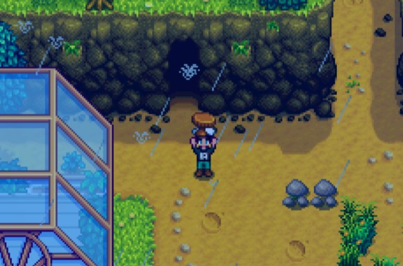 星露谷物语《StardewValley》鸡油菌获取攻略