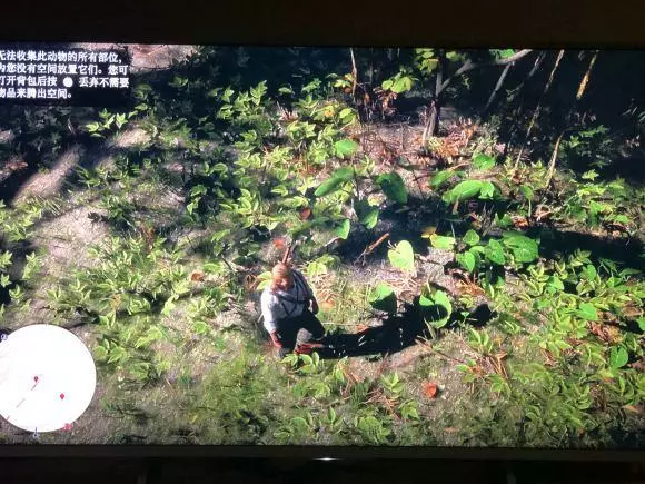 荒野大镖客2《RedDeadRedemption2》瓜马岛特殊生物蝮蛇捕捉攻略