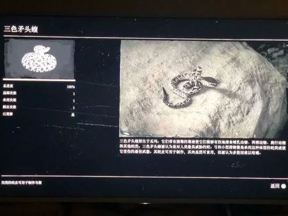 荒野大镖客2《RedDeadRedemption2》瓜马岛特殊生物蝮蛇捕捉攻略