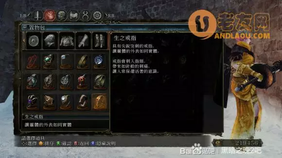 黑暗之魂2《DarkSouls2》壁外雪原攻略